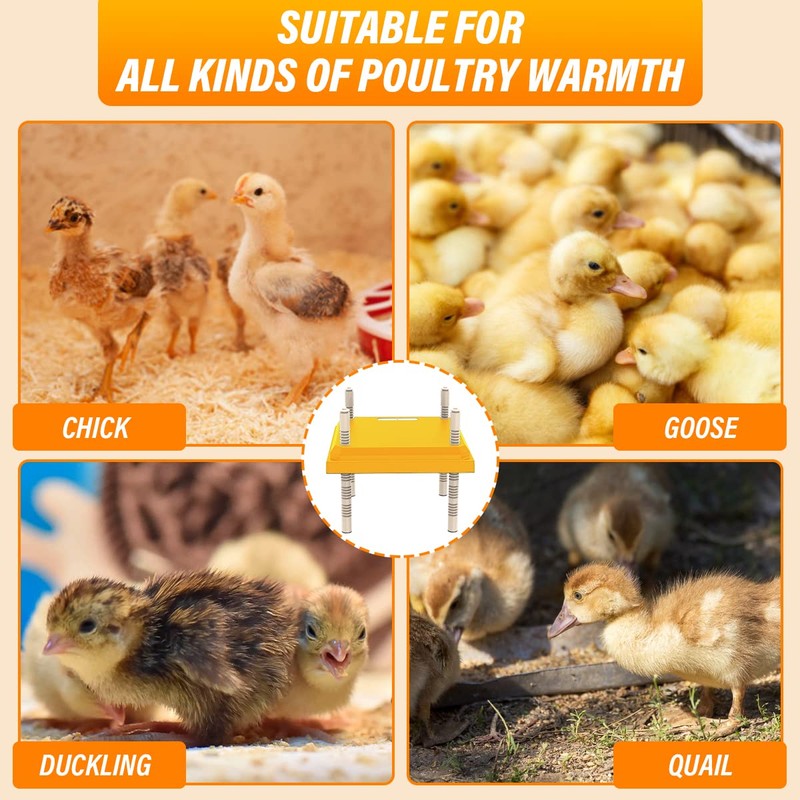BlyeMichdi BlyeMichdi Brooder Heater for Chicks,10" x 10" Chick Brooder
