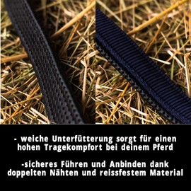 Pferdelinis Halter for Warmblood, Thoroughbred, Cold Blood, Pony - Stable Headcollar, Pasture Headcollar, 2-Way Adjustable Pin Buckles, Safe and Tear-Resistant (Blue, Cold-Blood)