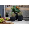 Capi Europe - Pot Cylinder Groove Black & Gold -