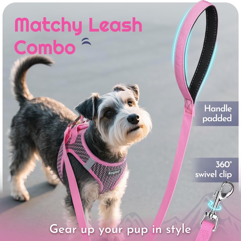 Eagloo Small Dog Harness and Leash Set, Step in Puppy