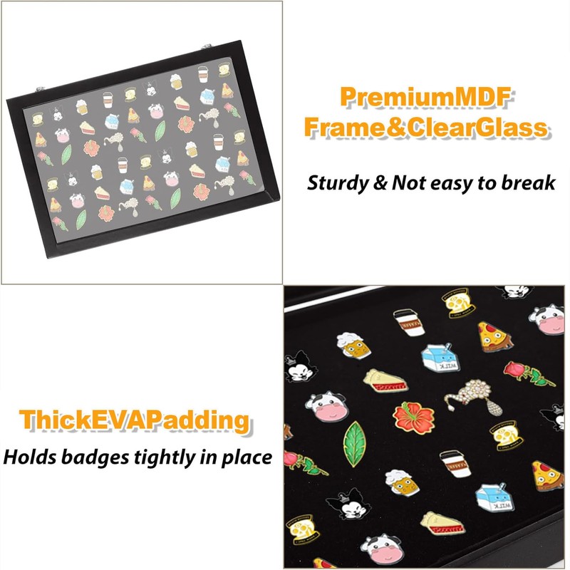 IONPSHG Large Enamel Pin Display Case, 14x9.5 Inch Dustproof Organizer