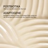DOCTOR BABOR Microbiomic Stress Defense Mushroom Face Cream (50ml) -