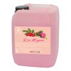 Productos Mart Mexico Jabon Líquido Facial De Rosa Mosqueta 10