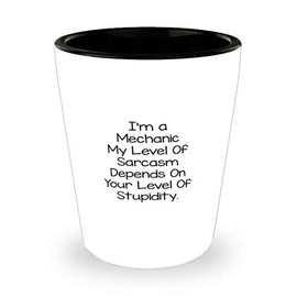 Funny Birthday Unique Gifts for Mechanic, Unique Sarcasm Gifts for Coworkers, Hilarious Shot Glass for Christmas