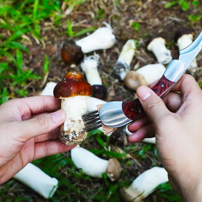 Coowolf Mushroom Knife with Brush and Sheath, Curved Stainless Steel