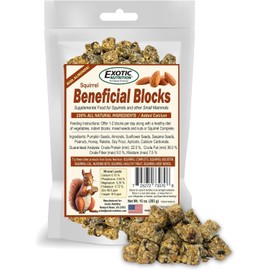 Exotic Nutrition Beneficial Blocks (20 oz.) - Healthy & Unique Supplemental Food with Nuts & Seeds for Squirrels