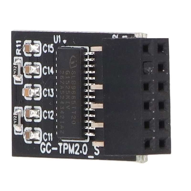 TPM 2.0 Module LPC SPI 12 Pin Remote Card Encryption