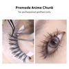 Anime Lashes Spire Pyramid Eyelash Premade Fans D Curl Manga