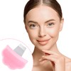 Hzopcw Manual Face Spatula, Metal Facial Scraper with Silicone Lid