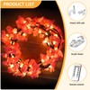FNHMSL Cherry Enchanted Willow Vine Lights, Cherry Blossom LED Tree