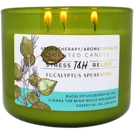 Eucalyptus Spearmint Aromatherapy Candle 3-Wick | Soy Scented Candle for Home 15.8 oz | Stress Relief Candle | Spa Candles Gift for Relaxation, Men & Women | Long Lasting Eucalyptus Candles
