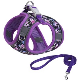 KocaPlye Step in Dog Harness No Pull Flower Adjustable Soft Mesh Padded Reflective Pet Vest Harness and Leash Set for Small Medium Dogs