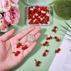 CHGCRAFT 40 Pcs Cherry Glass Pendant Decorations with 304 Stainless