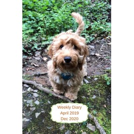 Weekly Diary April 2019-Dec 2020: 6x9 week to a page planner with notes & to do list each week. Extra notes pages included. Perfect for self-employed, ... Cockerpoo with brown leather look back design