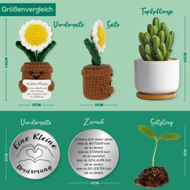 Tixlux Pocket Hug Positive Plant, Creative Knitting Wool Plant Doll and Small Hug Lucky Charm, Courage Gift, Get Well Soon Gift, Graduation Gift (Daisy)