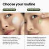 delphyr [delphyr]Fresh Matcha Pack Cleansing Powder