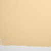 BACKDROP | Premium Interior Paint | Standard Semi Matte, Low