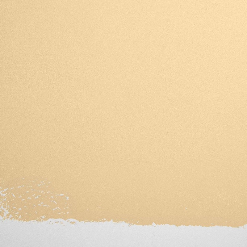 BACKDROP | Premium Interior Paint | Standard Semi Matte, Low
