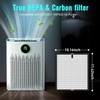 Replacement Filter Compatible with ECOSELF HAP603 Air Puri-Fier, 2-in-1 H13