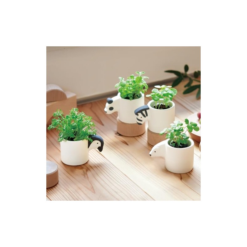 Seishin Ceramics GD-100701 Monochrome Animal Panda/Apple Mint Size: Approx. W7