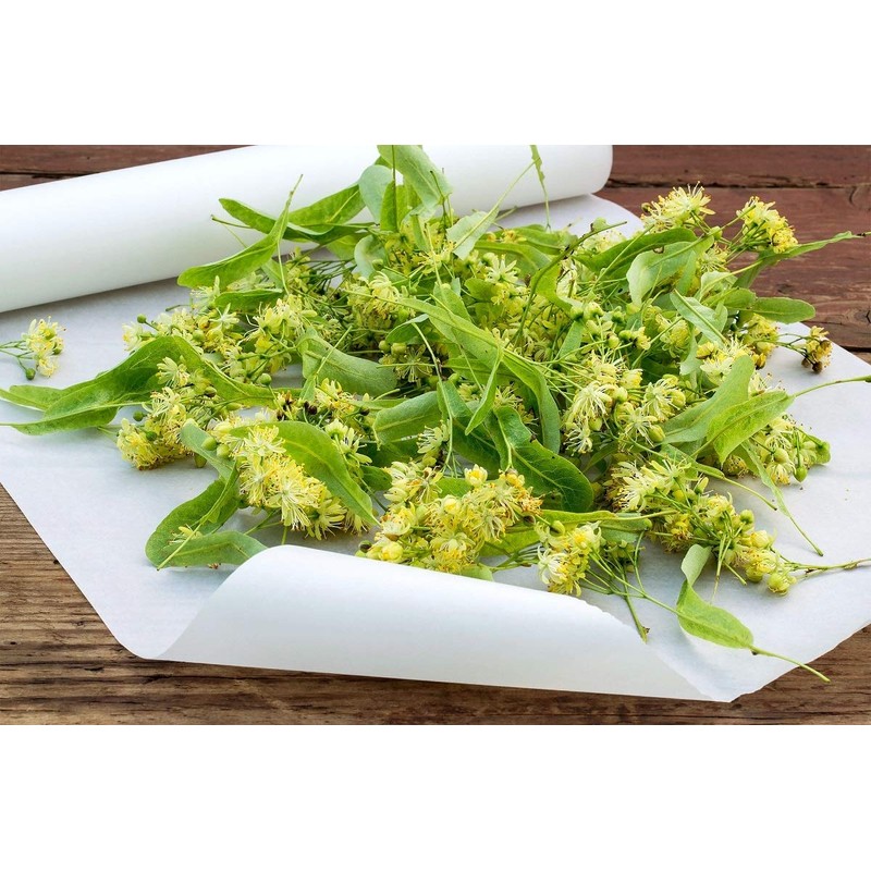 Health Embassy Linden Flower Tea (Tiliae Flos - Tilia Vulgaris)