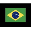 Unbranded 2"x 3" Brazil Flag Patch- Easy iron on (heat