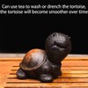 EAEDMY Purple Sand Tea Pet Angry Cat Bat Tortoise Puppy