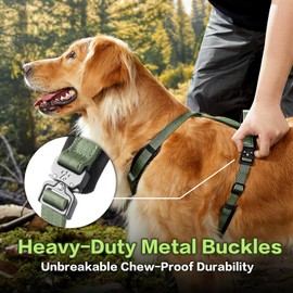 PawsPassion Dog Harness for X-Large Dogs, No Pull Dog Harness Easy Walk with Metal Hardware, Ergonomic Y-Shaped Design, Soft Padding, Padded Handle, Durable High-Tensile Nylon (Evergreen, XL)