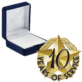 10 Years Of Service Pins, 10 Years Of Service Pin With Blue Velvet Presentation Case, 1 Pack