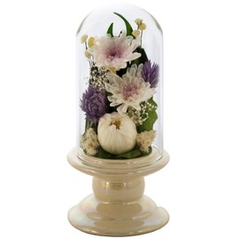 Art Four Seasons Buddha Flower ◎ (White) Mini Winged Chrysanthemum Glass White Preserved Flower