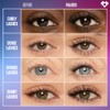 Maybelline Makeup Volum Express The Falsies Waterproof Mascara, Brownish Black,