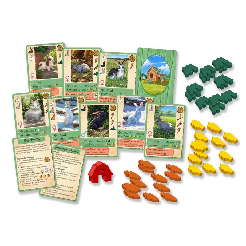 LITTLE ROCKET GAMES CONEY Board Game in Italian