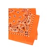 Rothco Trainmen Paisley Bandana – Multipurpose Outdoor Utility Survival Headwrap,