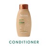 Aveeno Scalp Soothing Haircare Daily Moisture Oat Milk Conditioner for