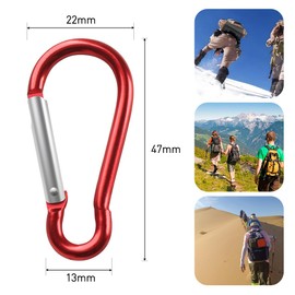 BOUMVID Carabiner Hooks Small, Pack of 10 Carabiner Key Ring Small Colourful Aluminium Snap Hooks for Camping Hiking Travel Carabiner Mini Backpack Belt