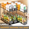 SpaceAid Pull Out Spice Rack Organizer, Heavy Duty Slide Out