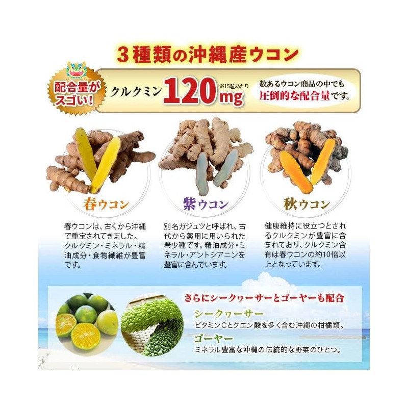 沖縄産トリプルウコンEXプラス 1本 1000粒入り 約66日分 ウコン サプリメント 日本直販