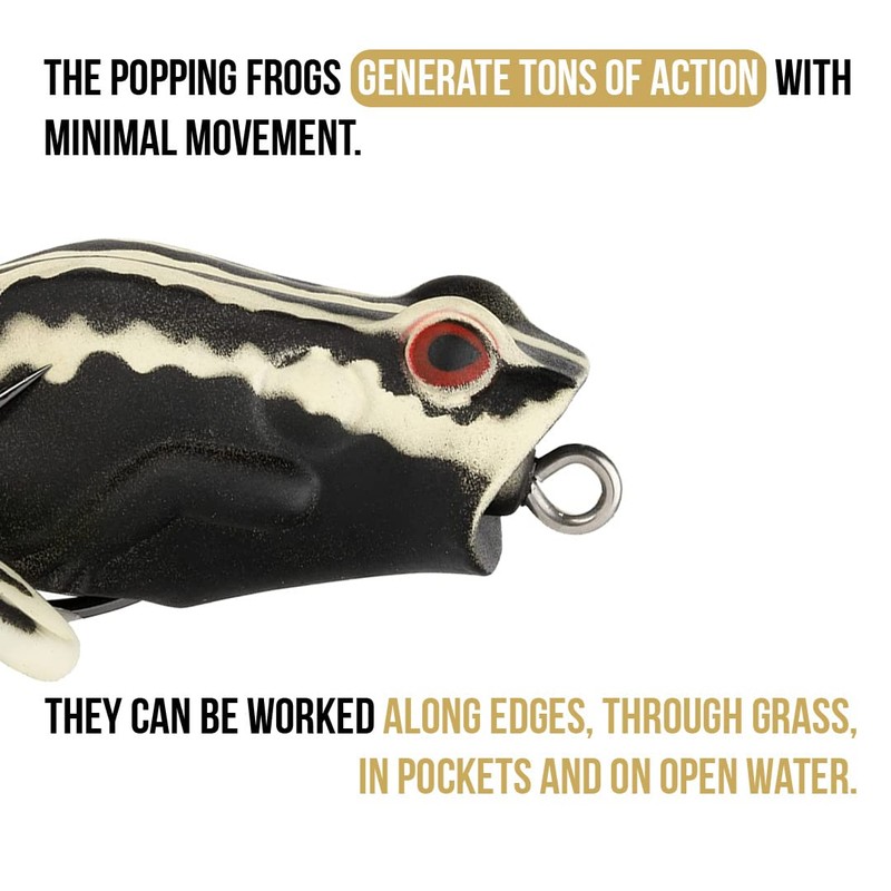 Lunkerhunt Frog Fishing Lure for Bass Fishing | Popping Frog