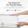 Threadmill Organic Cotton Twin Bed Sheet Set - Soft &