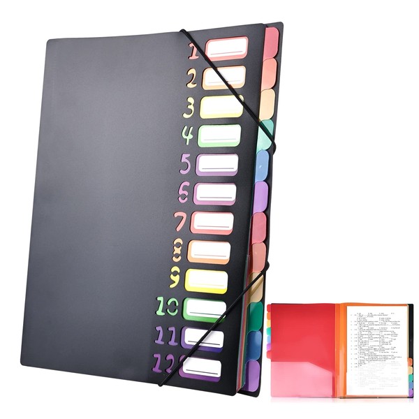 Document Folder A4, Portable Expanding Folder with 12 Compartments, PP