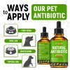 Golden Paw Dog Antibiotics with Chicken Flavor | Сat Antibiotics