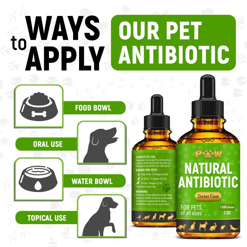 Golden Paw Dog Antibiotics with Chicken Flavor | Сat Antibiotics