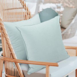 Betadistor Velvet Cushion Covers 18X18 Inch: 2 Pack Throw Pillow Covers Spring Summer Decorative Pillowcase Decor for Sofa Couch Bed 528-0637