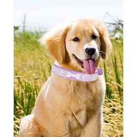 Dog Collar for Small Dogs, Adjustable Leather Suede Bling Dog Collars，Pink Dog Collar Cat Collar, Rhinestone Dog Collar (S, purple4)