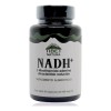 Nadh+ Nicotinamida Adenina Dinucleótido 30 Cápsulas Tibet
