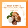 Shea Butter Moisturizing Cream Shampoo by Cantu for Unisex -