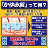 【第3類医薬品】かゆみ肌の治療薬 ムヒソフトGX乳状液 120mL
