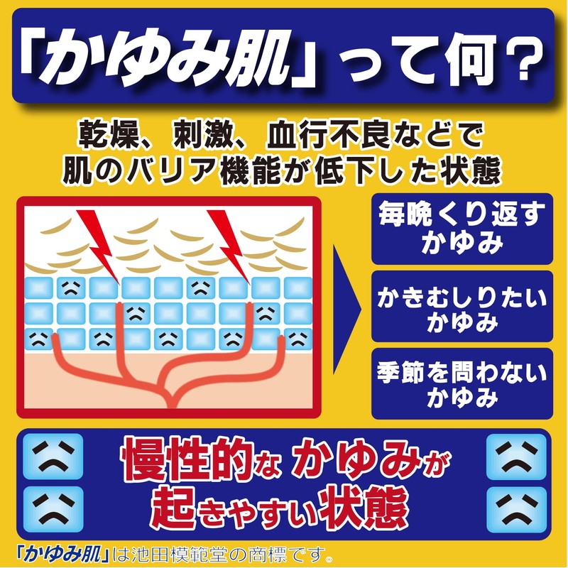 【第3類医薬品】かゆみ肌の治療薬 ムヒソフトGX乳状液 120mL