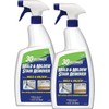 30 Seconds Mold & Mildew Stain Remover Spray- Indoor &