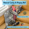 Tails & Tales Cat Toys Fish, Catnip & Crinkle Sound
